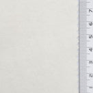 1: Pale Sage Green-2: Light Gray-3: Pale Olive-4: Cream-5: White - Lightweight Crinkle High Density Nylon Woven Fabric - FAB 1939