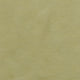 11.Light Yellow
