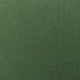 13.Camouflage Green
