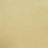 Cotton Woven Fabric - FAB1157