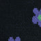 4.Black