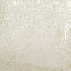 5.Ivory