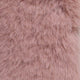 9.Brandy Rose
