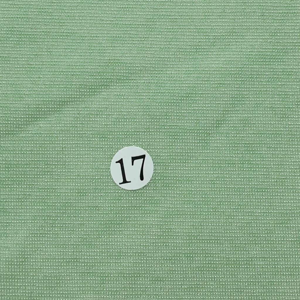 Poly Span Knit Fabric-Mint