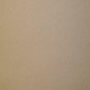 Poly knit Fabric-Beige4