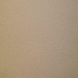 Poly knit Fabric-Beige4