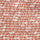 Cotton Poly Span Knit Fabric-Coral