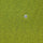 Polyester Knit Span Fabric-Lime