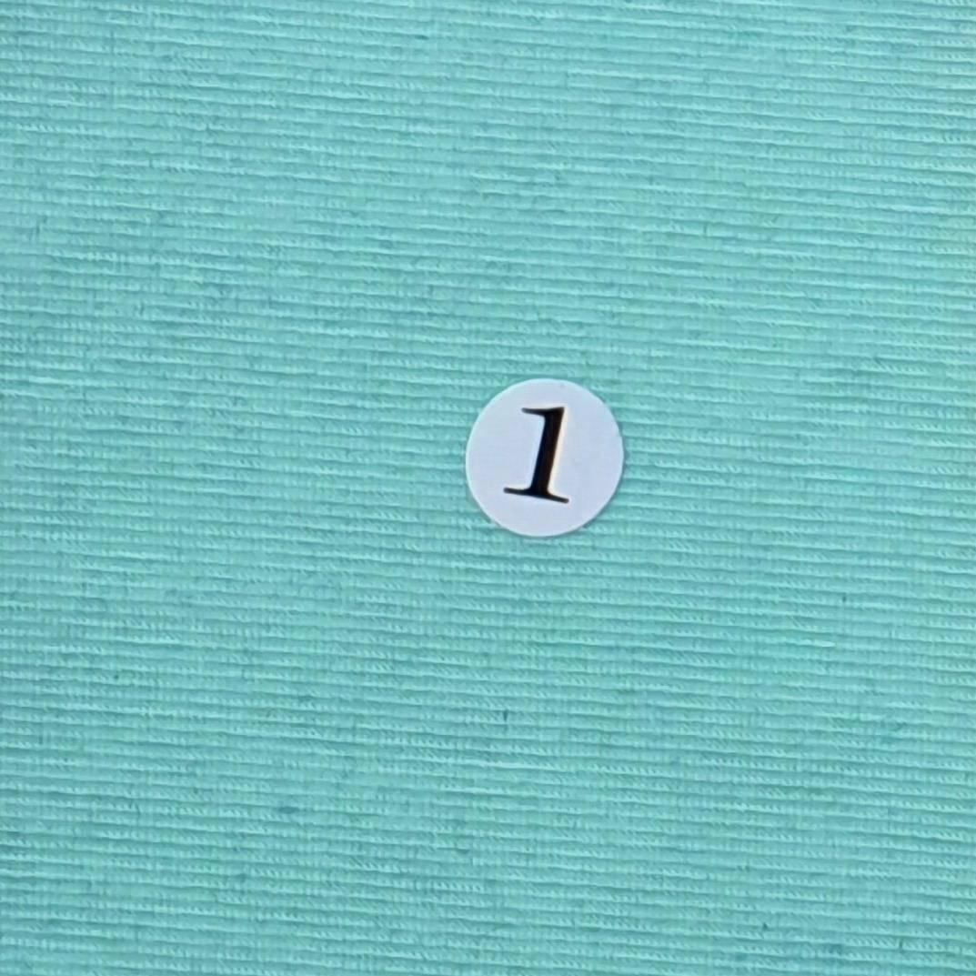 Tencel Poly Span Knit Fabric - FAB 1066 - 1.Mint