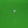 LNY Slub Poly Span Fabric-Lime