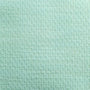 Single Poly Span Fabric-Mint