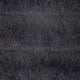 6.Charcoal
