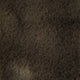 10.Dark Brown