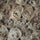 Snail Feature Faux Fur Fabric | FAB1102 | 1.Black, 2.Purple, 3.Brown, 4.Beige by Fabricis.com #