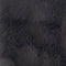 8.Charcoal