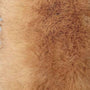 Fake Mink Heavy Faux Fur Fabric-Mocha