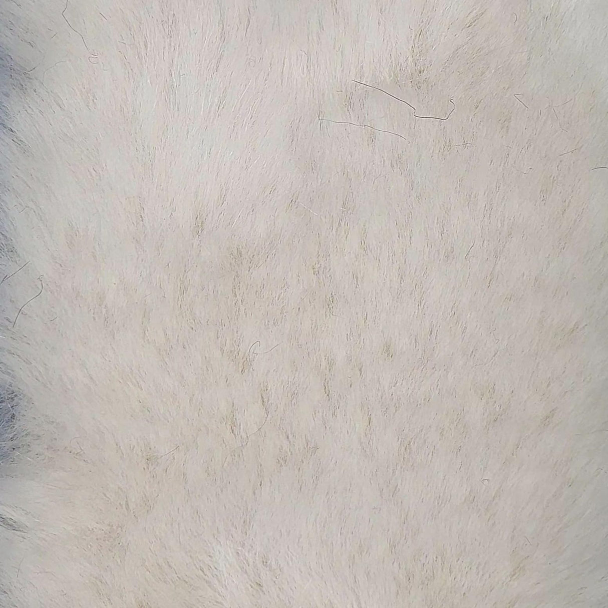 Fake Mink Heavy Faux Fur Fabric | FAB1106 | 1.White/ivory, 2.Ivory, 3.Beige, 4.Pink, 5.Medium Beige, 6.Grey, 7.Dark Beige, 8.Brown, 9.Grey Pink, 10.Mocha by Fabricis.com #