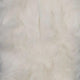 1.Ivory