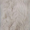 2.Silver Beige