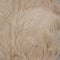 3.Beige
