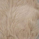 3.Beige