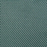 75D DTY Poly Mesh Fabric-Green