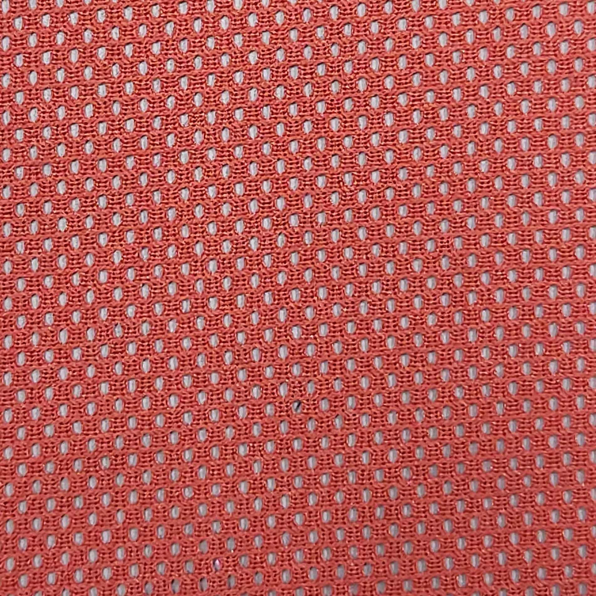 75D DTY Poly Mesh Fabric-Red