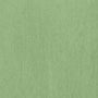 60'S Bio Washing Cotton Woven Fabric-Neutral Green