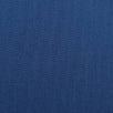 60'S Cotton Woven Fabric-Resolution Blue