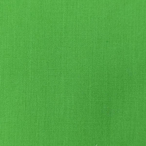 60'S Voil Woven Fabric-Apple