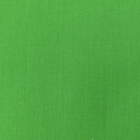 60'S Voil Woven Fabric-Apple