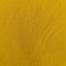1.Sunflower