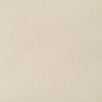 Cotton Woven Fabric-Mercury