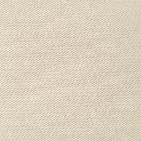 Cotton Woven Fabric-Mercury