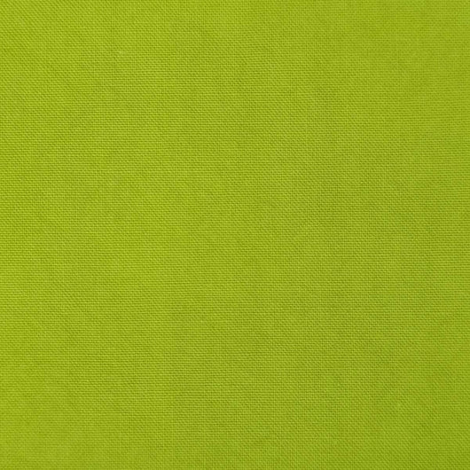 Cotton Woven Fabric-Earls Green