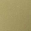 40'S Cotton Span Woven Fabric-Ecru