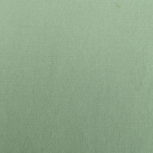 40'S Cotton Span Woven Fabric-Gum Leaf