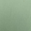 40'S Cotton Span Woven Fabric-Gum Leaf
