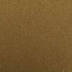 40'S Cotton Span Woven Fabric-Pale Brown
