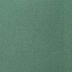 10's Oxford Cotton Span Woven Fabric-Granny Smith