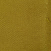 10's Oxford Cotton Span Woven Fabric-Reef Gold
