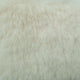 4.Egg Shell