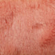 48.Watermelon