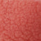 13.Watermelon