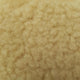 23.Oat