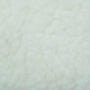 Fleece  Polyester Fabric-Powder