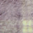 Vivid Check Faux Fur-Periwinkle
