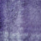 2.Violet
