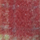4.Rouge
