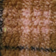 8.Dijon/Rose